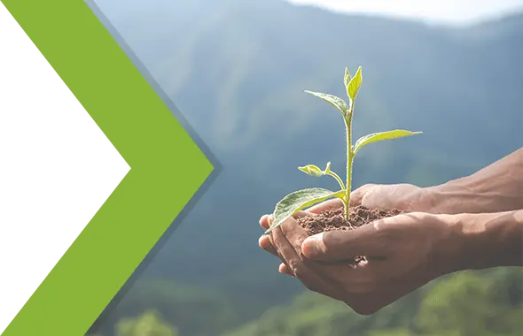 Jetzt kontaktieren Vor einer bergigen Landschaft halten zwei Hände Erde mit einem Pflanzen-Keimling in die Höhe