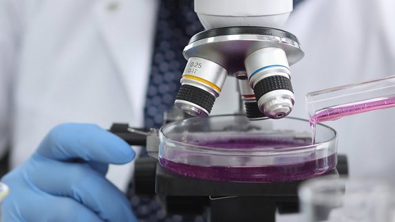 Forscher beobachten Kulturen aus einem Reagenzglas unter einem Microskop.