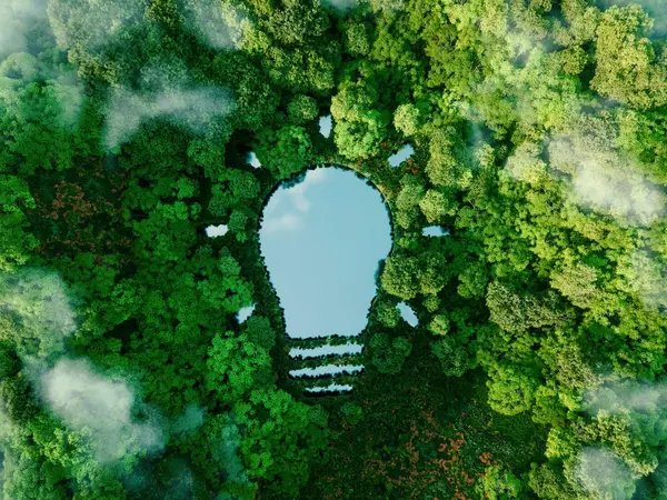 Nachhaltigkeit bei PRODINGER Ein See in Glühbirnen-Optik inmitten eines grünen Waldes deutet auf die Harmonie zwischen Natur und Nachhaltigkeit hin.