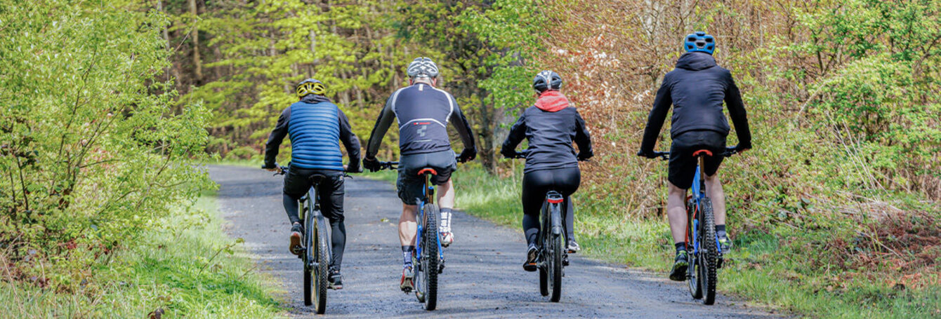 4 Radfahrer fahren in einem Wald auf einem geschotterten Weg davon.